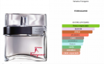 F Pour Homme by Salvatore Ferragamo 100ml